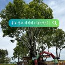 충주시 로컬푸드 직매장 충주씨샵 | 가볼 만한 곳, 탄금공원 숲 놀이터, 바닥 분수, 충주 씨샵 까지 아이들 취향 저격! 대형 놀이터 추천!