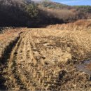 아영면 아곡마을 이미지