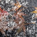 청양7세천 이미지