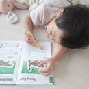 예스 애니멀 | 아이 호기심 폭발 톡톡북 컬렉타 곤충&amp;양서파충류 생태도감 솔직후기