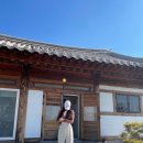[ ʚ 순천 숙소 ɞ ] “꽃뜨라래” 와온 한옥 독채펜션 추천 리얼 후기 ᰔᩚ