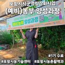 포항시 농업기술센터 | 포항시 예비농부양성과정 1기 수료! 청년 농부 지원사업까지 달려보자