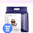 매너독 라이프 | 수컷 강아지 마킹 지옥 탈출기! 라비앙독 매너벨트 없이는 못 살아 솔직 후기