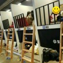 벌툰 - 양천구 목동중앙본로7길 42 | 벌툰