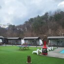 새연 | 아이랑 가평 카라반 추천｜새연카라반리조트 미니쿠퍼VIP 내돈내산 후기