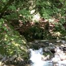 덕동하늘숲펜션 이미지