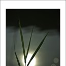 해를 담다 이미지