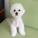 미모아미용실 - 여수시 여서1로 8 | 미모아미용실