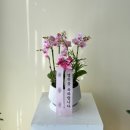 영전농장 이미지