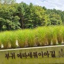 진안군청 화장실 이미지