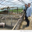 남양주도곡초등학교 이미지