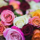 집사자부동산공인중개사사사무소 | 전세대출 고민 중이라면, 빌라 매매도 함께 보세요