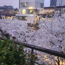 담은이야기