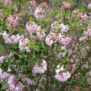 (주)평농 이미지