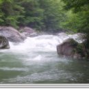 사하초정문 이미지