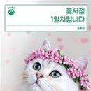 동아리서점 이미지