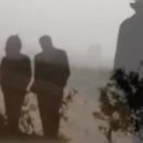 8월22일 금요일 우리는 장년기^^ 이미지