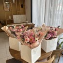 디자인베이트리