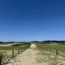 사구해수욕장2 이미지