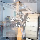 호수로 간 고양이 이미지