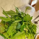 자연쌈밥식당 이미지
