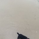 다락방식당 이미지