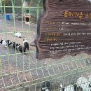 창원과학체험관 이미지