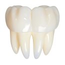 백년치과의원 | 치과 갈 때마다 쫄보 되는 나, 이젠 맘 편히 간다