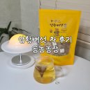 튼튼농장 | 상황버섯 효능 송동농장 상황버섯 차 카페인 없는 티백 후기