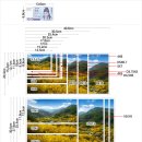 인화 사이즈 이미지풀과 페이퍼풀 이미지