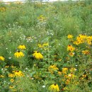 운중동주민센터 이미지