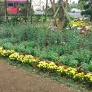 의귀교회 이미지