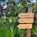 뽀꼬짱 | 칸쿤 스칼렛아르떼 Fuego 후에고 디너 메뉴추천 예약방법 복장 팁, 찐맛탱!!