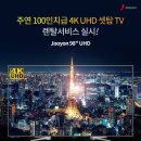 한국청소년생명비전센터 이미지