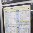 월 강좌(5월) / 기초부터 배우는 수채화(월-10시) | 관악구민종합체육센터 수영 수강 후기 (수강신청 꿀팁, 약 3개월 다닌 느낀 점)