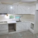 광진 pet 이미지