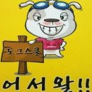 도그스쿨 이미지