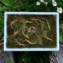 삼단지농장 이미지