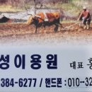 금성이용원 네이버블로그