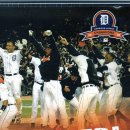 월드타이거즈 이미지