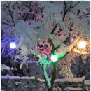 무릉펜션민박 이미지