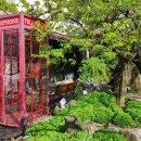 레스토랑마리서사본점 이미지