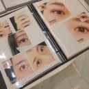 사르르래쉬