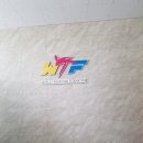 드림태권도스쿨 이미지