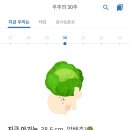 델랑시베이글 이미지