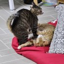 만세의료기 이미지