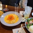 찌꼬뽀꼬 이미지