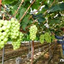 영일만축산 이미지