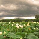 직전농장 이미지