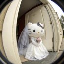 금성뒷고기 | 2025:10 (1)